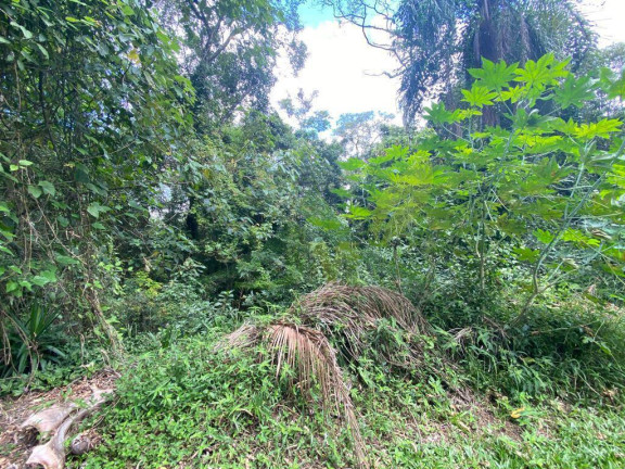 Imagem Terreno em Condomínio à Venda, 3.119 m² em Portão - Atibaia Imagem Terreno em Condomínio à Venda, 3.119 m² em Portão - Atibaia