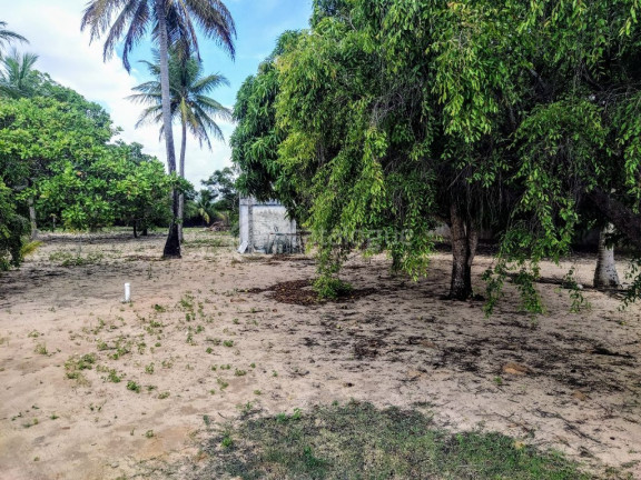 Imagem Fazenda à Venda, 6.400 m² em Pium - Nísia Floresta Imagem Fazenda à Venda, 6.400 m² em Pium - Nísia Floresta
