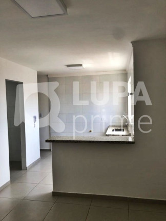 Imagem Apartamento com 1 Quarto para Alugar, 40 m² em Vila Maria Alta - São Paulo Imagem Apartamento com 1 Quarto para Alugar, 40 m² em Vila Maria Alta - São Paulo