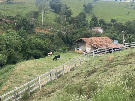 Imóvel com 2 Quartos à Venda, 10.430 m² em Capituvas - Bandeira Do Sul