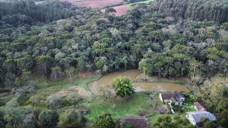 Imagem Imóvel com 5 Quartos à Venda, 48.000 m² em São João Do Caiva - Lapa Imagem Imóvel com 5 Quartos à Venda, 48.000 m² em São João Do Caiva - Lapa