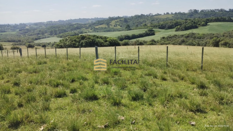 Imóvel com 2 Quartos à Venda, 180.000 m² em Capela Da Buena - Morro Redondo
