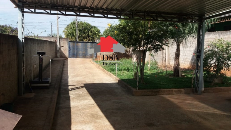 Imagem Chácara com 3 Quartos à Venda, 1.700 m² em Parque Residencial Regina (nova Veneza) - Sumaré