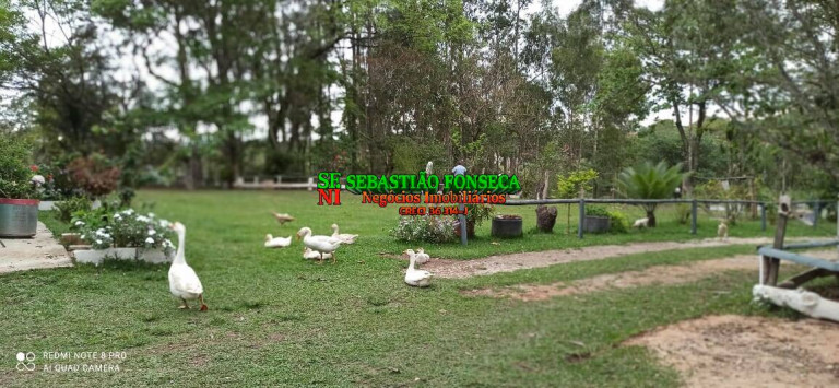 Imagem Chácara à Venda, 13.000 m² em Centro - Caçapava