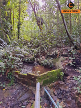 Imagem Imóvel com 2 Quartos à Venda, 500.000 m² em Itapecerica - Itanagra Imagem Imóvel com 2 Quartos à Venda, 500.000 m² em Itapecerica - Itanagra