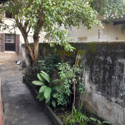 Imagem Casa com 2 Quartos à Venda, 165 m² em Tatuapé - São Paulo