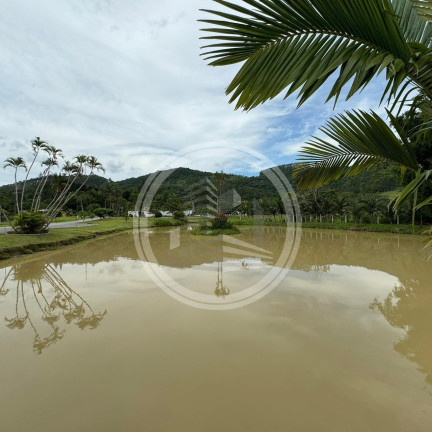 Imagem Fazenda à Venda, 550 m² em Cedro - Camboriú Imagem Fazenda à Venda, 550 m² em Cedro - Camboriú