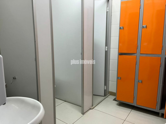 Imagem Imóvel Comercial para Alugar, 600 m² em água Branca - São Paulo Imagem Imóvel Comercial para Alugar, 600 m² em água Branca - São Paulo
