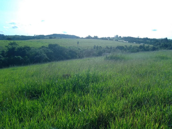 Imagem Chácara à Venda, 16 m² em Rural - Itapetininga Imagem Chácara à Venda, 16 m² em Rural - Itapetininga
