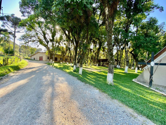 Imagem Fazenda à Venda, 220 m² em Boichininga - Almirante Tamandare Imagem Fazenda à Venda, 220 m² em Boichininga - Almirante Tamandare