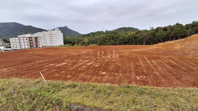 Imagem Ponto Comercial à Venda, 12.000 m² em Várzea Do Ranchinho (monte Alegre) - Camboriú Imagem Ponto Comercial à Venda, 12.000 m² em Várzea Do Ranchinho (monte Alegre) - Camboriú