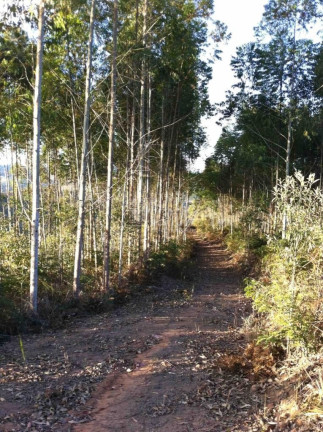 Imagem Imóvel à Venda, 120.000 m² em Aracê - Domigos Martins Imagem Imóvel à Venda, 120.000 m² em Aracê - Domigos Martins