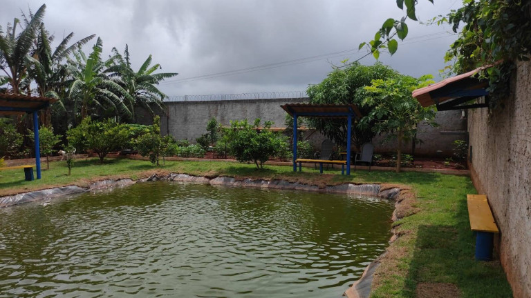 Imagem Chácara com 4 Quartos à Venda, 1.500 m² em Arapongas Imagem Chácara com 4 Quartos à Venda, 1.500 m² em Arapongas