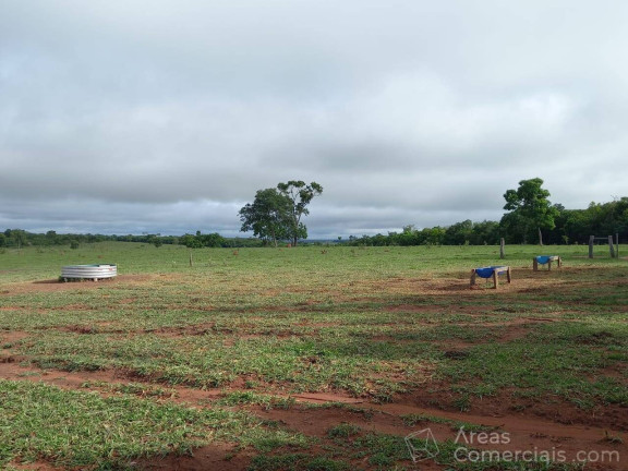Imagem Chácara à Venda, 100 m² em Rural - Pouso Alegre Imagem Chácara à Venda, 100 m² em Rural - Pouso Alegre