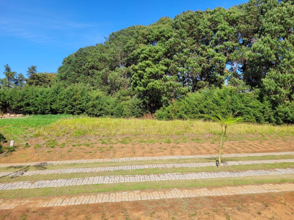 Imagem Terreno em Condomínio à Venda, 1 m² em Azevedo - Joanópolis Imagem Terreno em Condomínio à Venda, 1 m² em Azevedo - Joanópolis