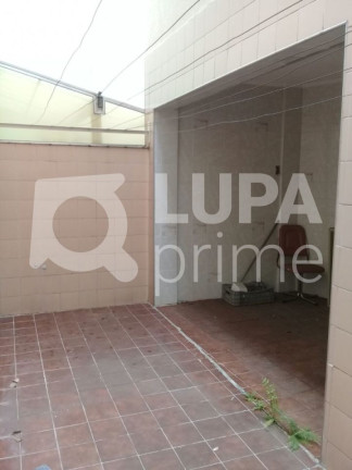 Imagem Casa com 3 Quartos à Venda, 135 m² em Jardim Avelino - São Paulo