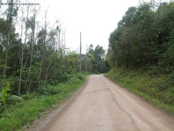 Imagem Terreno à Venda, em Linha Pirajá - Nova Petrópolis Imagem Terreno à Venda, em Linha Pirajá - Nova Petrópolis