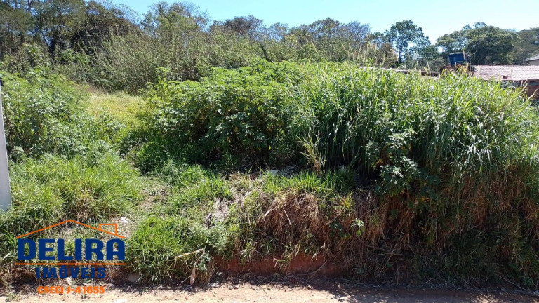 Imagem Terreno à Venda, 139 m² em Terra Preta (terra Preta) - Mairiporã Imagem Terreno à Venda, 139 m² em Terra Preta (terra Preta) - Mairiporã