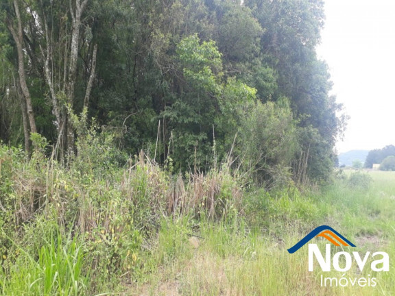 Imagem Imóvel à Venda, 10.211 m² em Linha Araripe - Nova Petrópolis