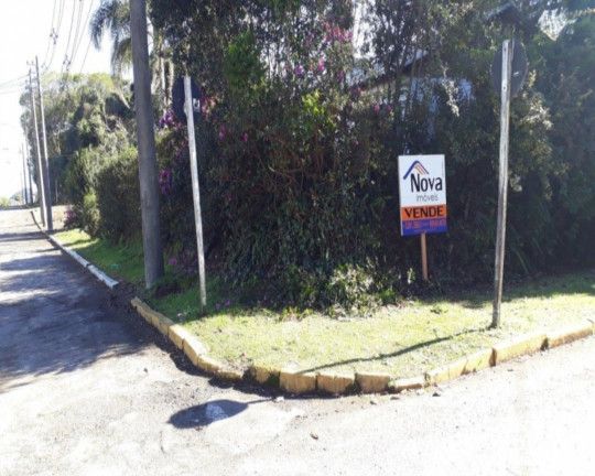 Imagem Imóvel à Venda, 1.452 m² em Logradouro - Nova Petrópolis Imagem Imóvel à Venda, 1.452 m² em Logradouro - Nova Petrópolis