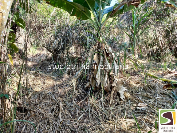 Imagem Terreno à Venda, 1.936 m² em Piúva - Ilhabela Imagem Terreno à Venda, 1.936 m² em Piúva - Ilhabela