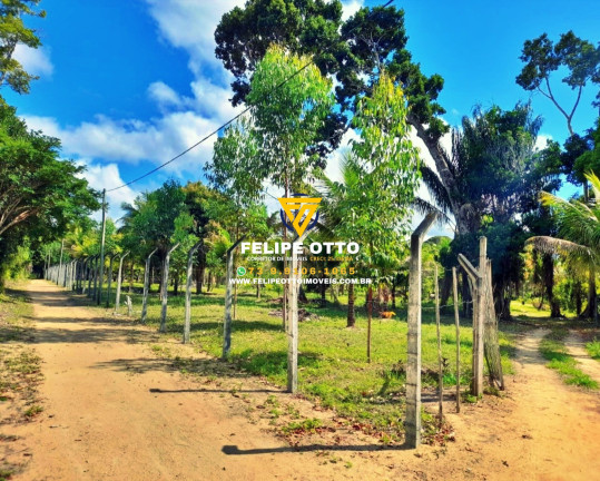 Imagem Imóvel com 2 Quartos à Venda, 80.000 m² em Yaya - Santa Cruz Cabrália Imagem Imóvel com 2 Quartos à Venda, 80.000 m² em Yaya - Santa Cruz Cabrália