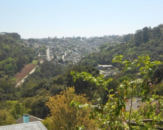 Imagem Terreno à Venda, 440 m² em Santa Corona - Caxias Do Sul