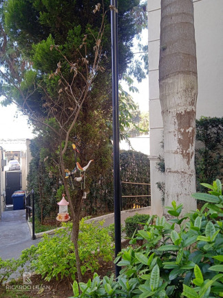 Imagem Apartamento com 3 Quartos à Venda, 67 m² em Jardim Clímax - São Paulo