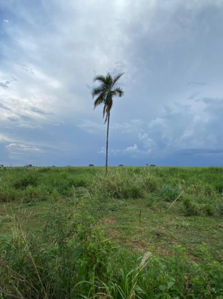Imagem Fazenda à Venda, 532 m² em Rural - Jales Imagem Fazenda à Venda, 532 m² em Rural - Jales