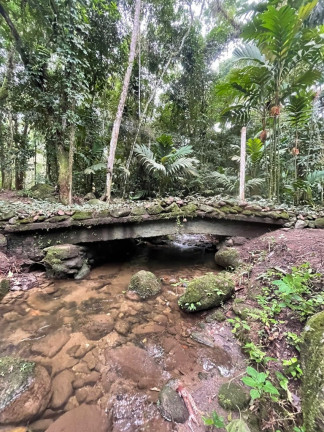 Imagem Imóvel com 5 Quartos à Venda, 20.000 m² em Maresias - São Sebastião