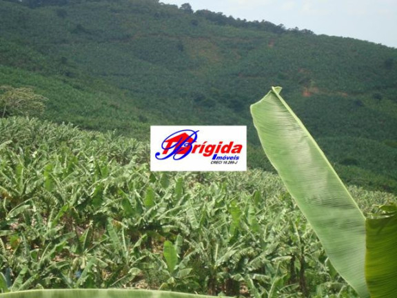 Imagem Fazenda à Venda, 275 m² em Centro - Jacupiranga Imagem Fazenda à Venda, 275 m² em Centro - Jacupiranga