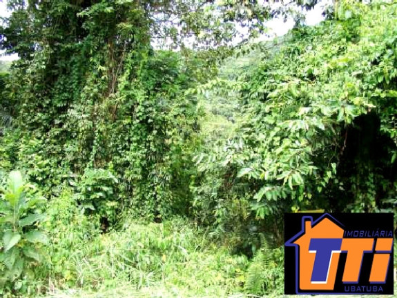 Imagem Terreno à Venda, 6.000 m² em Ubatumirim - Ubatuba