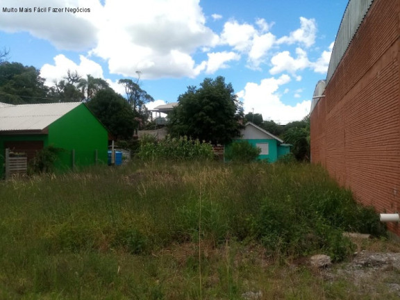 Imagem Terreno à Venda, 450 m² em Germânia - Nova Petrópolis Imagem Terreno à Venda, 450 m² em Germânia - Nova Petrópolis
