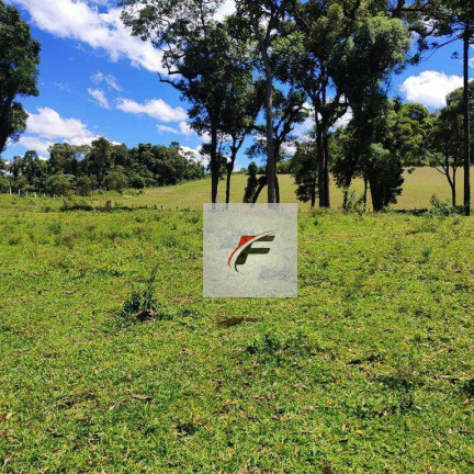 Imagem Chácara com 2 Quartos à Venda, 93.732 m² em Centro - Lapa