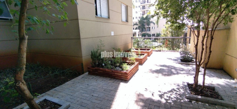 Imagem Apartamento com 3 Quartos à Venda, 61 m² em Vila Paulista - São Paulo Imagem Apartamento com 3 Quartos à Venda, 61 m² em Vila Paulista - São Paulo