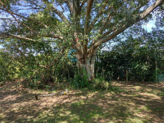 Imagem Terreno à Venda, 1 m² em Costa Do Morro - Sapucaia Do Sul Imagem Terreno à Venda, 1 m² em Costa Do Morro - Sapucaia Do Sul