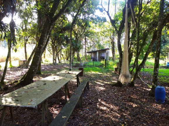 Imagem Terreno à Venda, 39 m² em Volta Redonda - Araquari Imagem Terreno à Venda, 39 m² em Volta Redonda - Araquari