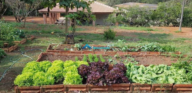 Imagem Imóvel com 3 Quartos à Venda, 17.000 m² em Bairro Caioçara - Jarinu Imagem Imóvel com 3 Quartos à Venda, 17.000 m² em Bairro Caioçara - Jarinu