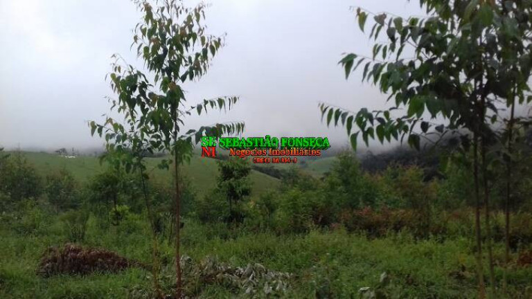 Imagem Chácara à Venda, 30.000 m² em Centro - Monteiro Lobato Imagem Chácara à Venda, 30.000 m² em Centro - Monteiro Lobato