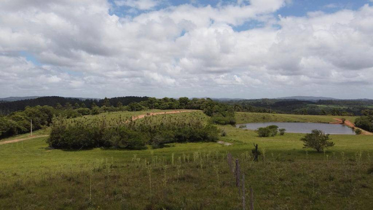 Imagem Chácara à Venda, 2.000 m² em Fiuza - Viamão Imagem Chácara à Venda, 2.000 m² em Fiuza - Viamão