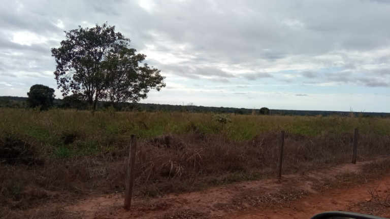 Imagem Fazenda à Venda, 523 m² em Nova Ubiratã - Nova Ubiratã Imagem Fazenda à Venda, 523 m² em Nova Ubiratã - Nova Ubiratã