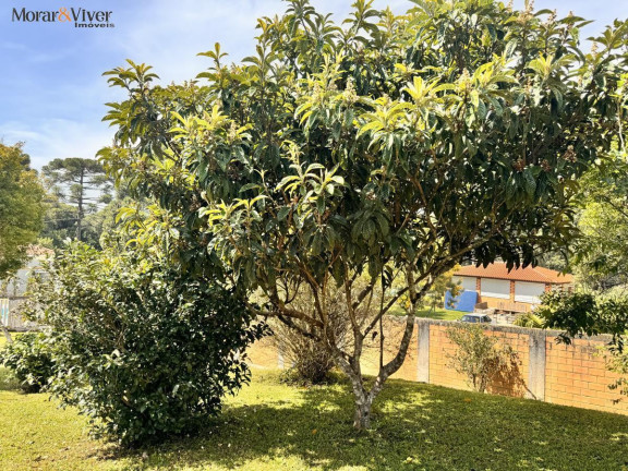 Imagem Chácara com 4 Quartos à Venda, 7.700 m² em Loteamento Chácara Chantecler - Piraquara Imagem Chácara com 4 Quartos à Venda, 7.700 m² em Loteamento Chácara Chantecler - Piraquara
