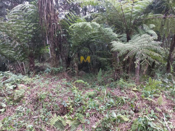 Imagem Chácara à Venda, em Recreio Da Serra - Piraquara Imagem Chácara à Venda, em Recreio Da Serra - Piraquara