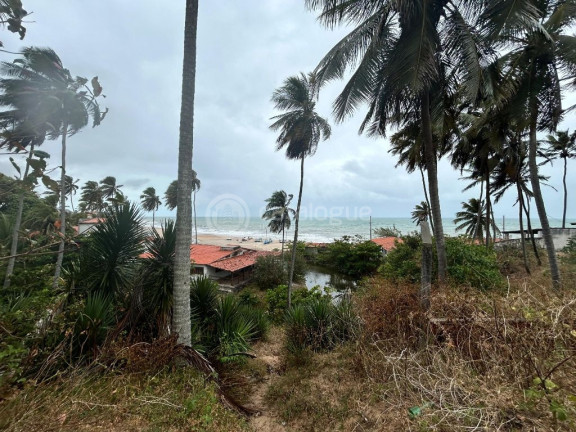 Imagem Terreno à Venda, 3.550 m² em Praia De Caraúbas - Maxaranguape Imagem Terreno à Venda, 3.550 m² em Praia De Caraúbas - Maxaranguape