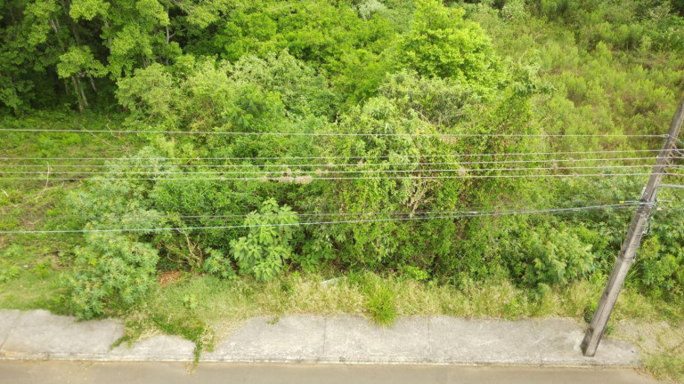 Imagem Terreno à Venda, 525 m² em Jardim - Concórdia