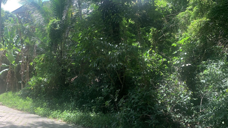 Imagem Terreno à Venda, 1.000 m² em Siriuba - Ilhabela Imagem Terreno à Venda, 1.000 m² em Siriuba - Ilhabela