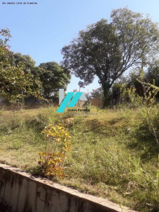 Imagem Fazenda à Venda, 500 m² em Boa Vista - Juatuba Imagem Fazenda à Venda, 500 m² em Boa Vista - Juatuba