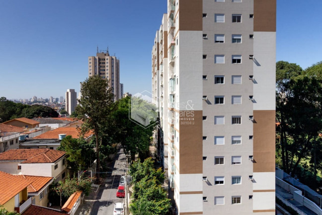 Imagem Apartamento com 3 Quartos à Venda, 66 m² em Jardim Cidade Pirituba - São Paulo Imagem Apartamento com 3 Quartos à Venda, 66 m² em Jardim Cidade Pirituba - São Paulo