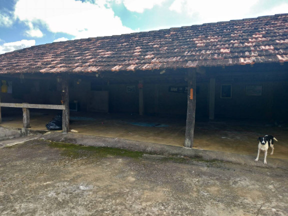 Imagem Chácara com 3 Quartos à Venda, 2 m² em Conservatória - Valença Imagem Chácara com 3 Quartos à Venda, 2 m² em Conservatória - Valença