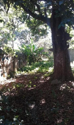 Imagem Casa com 3 Quartos à Venda, 185 m² em Centro - Taubaté